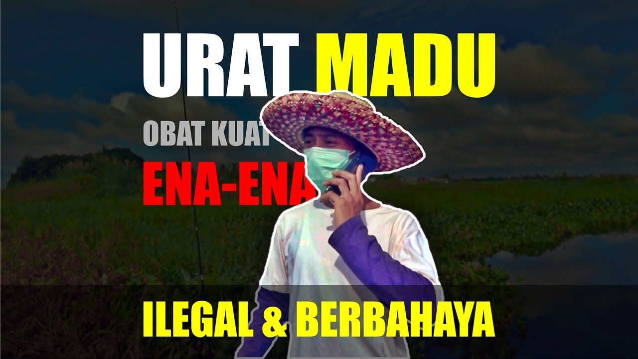 Utuh Jogging dan Paman Unjun Ep. 2 | URAT MADU ILEGAL? Ena-ena tapi Ilegal & Berbahaya