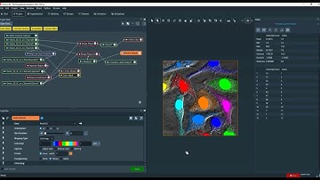 Differential Interference Contrast (DIC) Image Segmentation and Quantification using Deep Learning