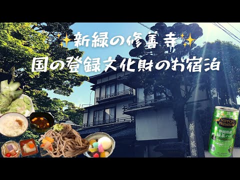 【女旅】新緑の修善寺旅✨飲んで食べて歩く💫座敷童子は居なかった😳w#修善寺温泉 #修善寺 #新緑 #女子旅 #旅好きな人と繋がりたい