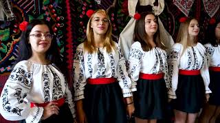 Ansamblul Bizere - Aseară Vântul Bătea