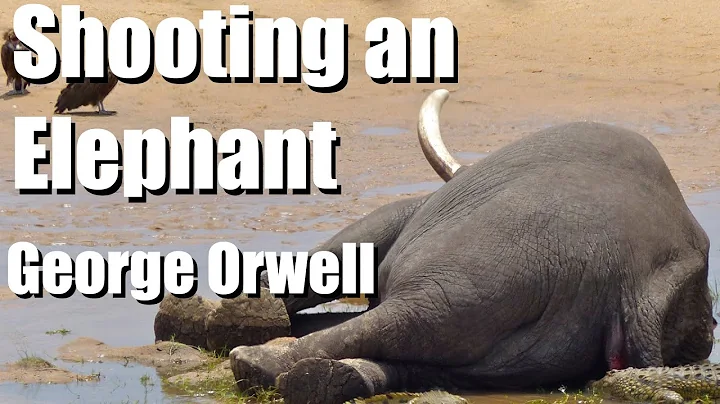 Shooting An Elephant AUDIOBOOK - George Orwell - DayDayNews