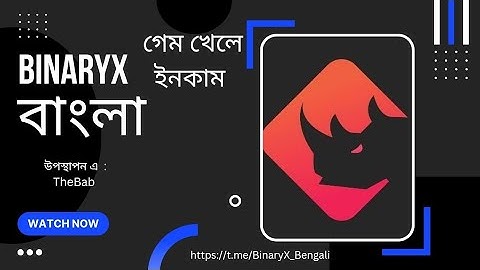 I am champion on binaryx game