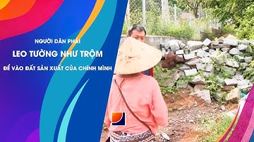 Hơn 4 Tháng Bị Chặn Đường – Người Dân Phải Trèo Tường Vào Đất Sản Xuất