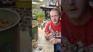 WesternCoHomeGrown: Blood for your Garden crazy dab at the end