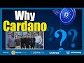 Waffle capital sidan labs and minswap discussion on why cardano