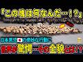 「この塊は何だ!?」外国人が衝撃…日本体育大学“魂の演武エッサッサ”に海外驚愕【海外の反応】
