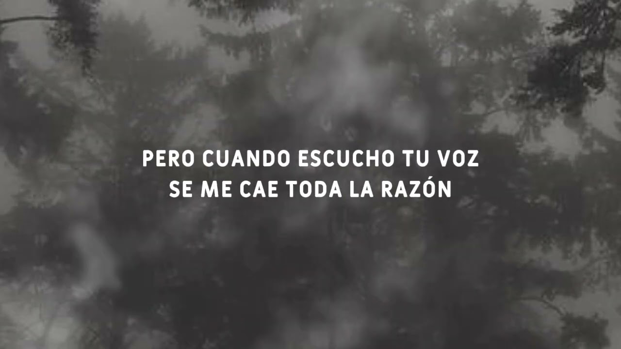 Si Me Sigues Yo Te Sigo 