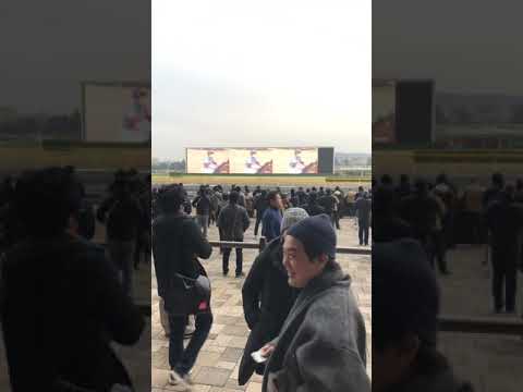 有馬記念2018池添ウィニングラン！有馬記念ブラストワンピース池添騎手有馬記念2018勝利後に笑顔で有馬記念2018後の中山競馬場ウィニングラン動画！池添有馬記念インタビュー動画！YouTube！