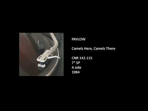 Pavlov — PAVLOW - Camels Here, Camels There - 1984