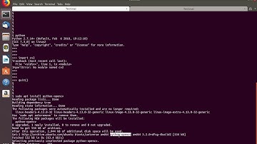 Python ImportError: No module named cv2