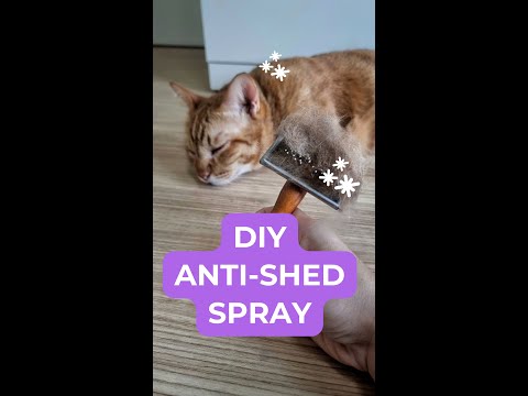 ⁣How to Make an Easy Homemade Anti Shed Spray for Cats & Dogs