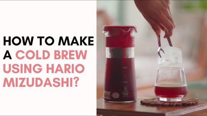 Hario Mizudashi Cold Brew Guide – Kaldi's Coffee