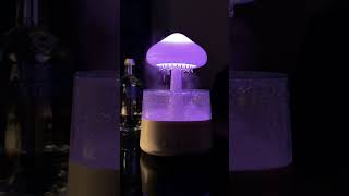 White Noise Aroma Diffuser Humidifier With Color Lamp