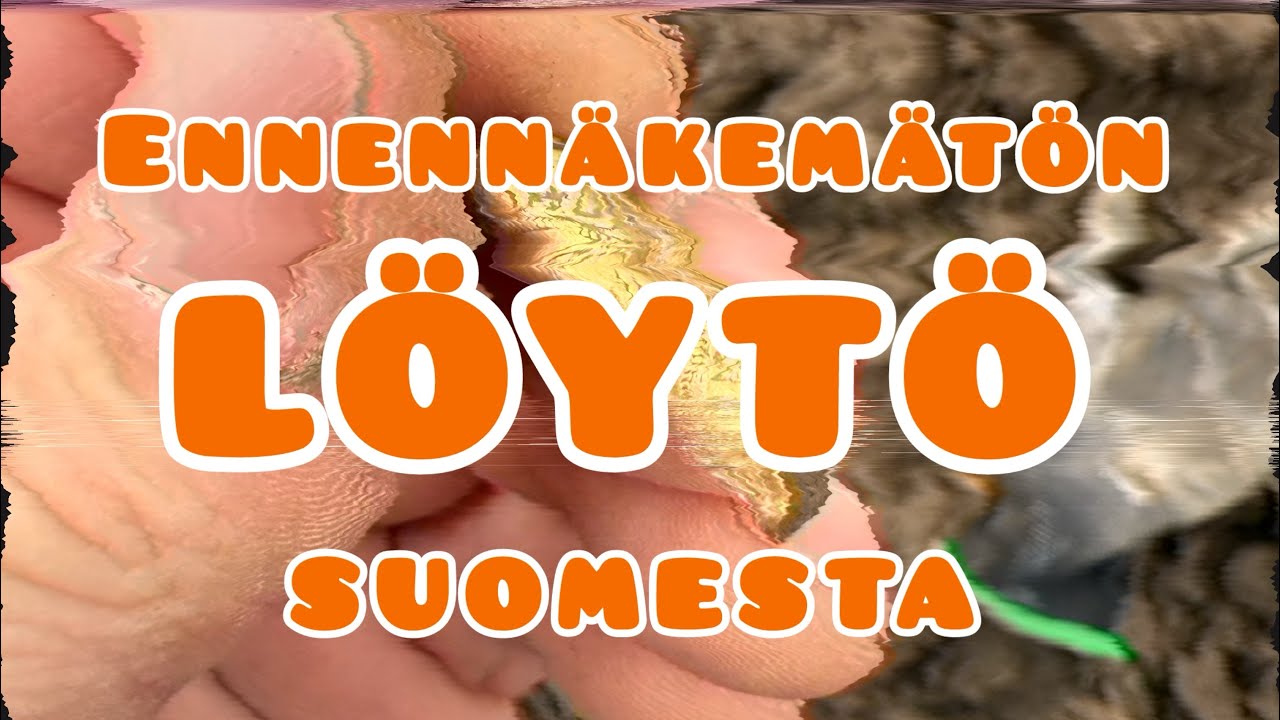 Löysin KULTARAHAN 1500-luvulta metallinpaljastimella!