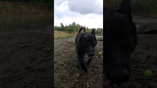 Oppsss I Didnt Expect That At All