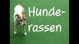 Learn German: Hunderassen