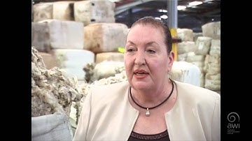 AWI Wool Handling - Getting Prepared - Point of View - Judy Turk