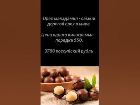 Самый дорогой орех в мире - YouTube