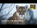 America the Beautiful: Wildlife Heartlands | MEGA EPISODE | National Geographic Documentary 4K UHD