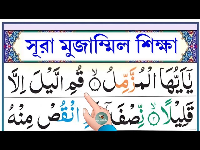 Mushuk suratida sikli semiz ayollar Mushuk suratida sikli semiz ayollar