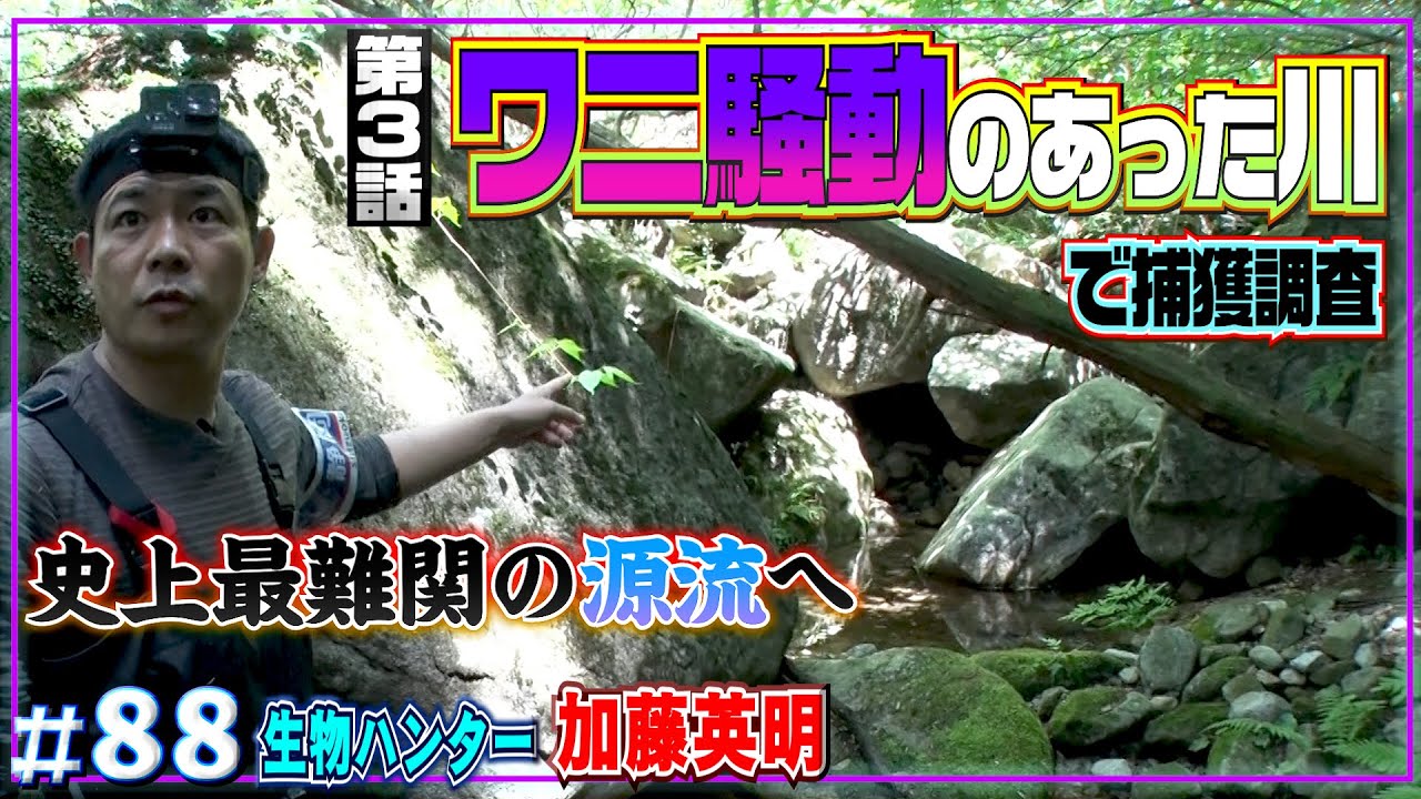 ワニが目撃された川には今ナニがいる？福岡の市街地を流れる川で捕獲調査した結果…第三話≫生物ハンター加藤英明