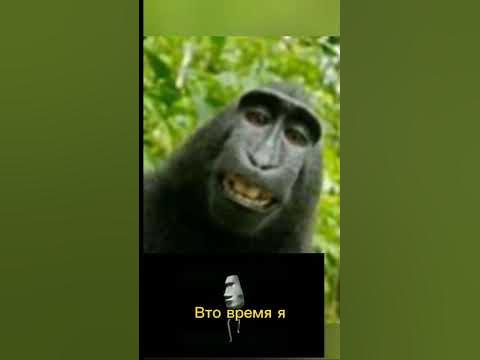 Каменное лицо - YouTube