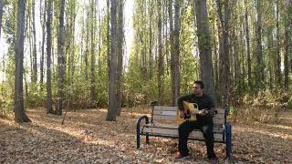 Wayfaring Stranger - Savran Dönmez (Acoustic Cover) Resimi