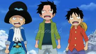 Awal pertemuan ace,sabo,& luffy dengan kakek naguri