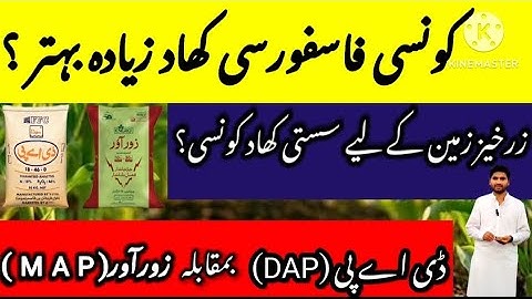 DAP vs MAP || Fertilizer || Which is Best? #fertilizer #dapkhad #dap #cropreformer