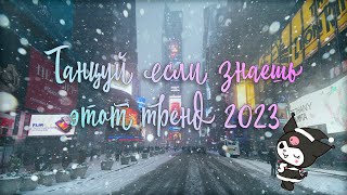 ?❄️Танцуй Если Знаешь Этот Тренд 2023 + Прогулка По New Yorkу ☃️?