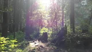 Fall Equinox and Peace Day retreat with Andrew Misle