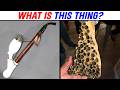 WHAT IS THIS MYSTERIOUS OBJECT YOU WON T BELIEVE WHAT IT S USED FOR R Whatisthisthing 53 WHAT IS THIS MYSTERIOUS OBJECT YOU WON T BELIEVE WHAT IT S USED FOR R Whatisthisthing 53