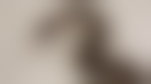 Ball Python Eating a Small Rat (Full Video)