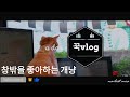 [꾹스log] 세계최초 고양이 창밖보는 vlog - feat. 꾹쓰