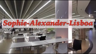 SOPHIE-ALEXANDER-LISBOA by Wendy Graf, Play Summary