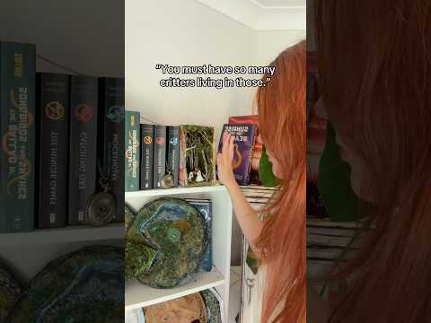 All The Critters I Have Living In My Book Nooks Booknook Spider Arachnophobia 