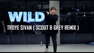 WILD - TROYE SIVAN(SCOUT & GREY REMIX) / RYU D CHOREOGRAPHY