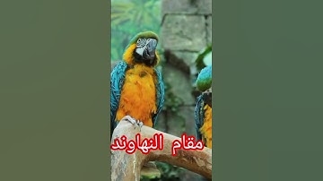 حافظ غلام نبي مستقيم تلاوت مقام النهاوند سوره ال عمران