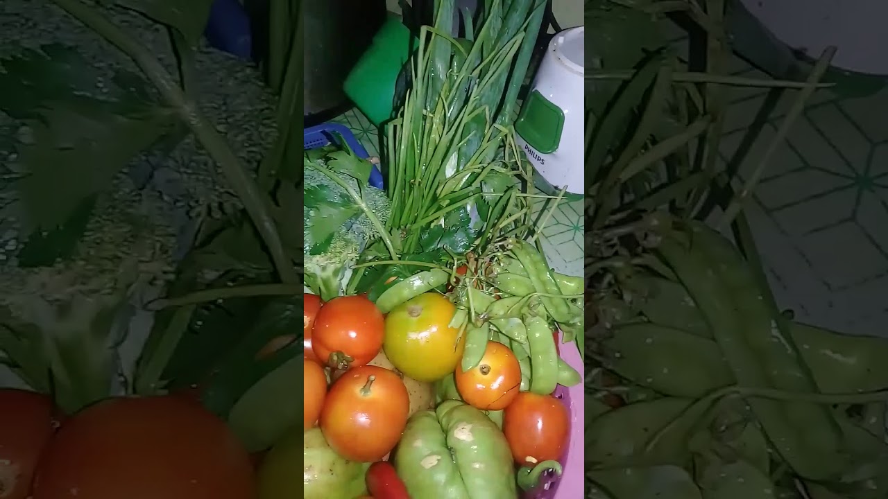 Aneka oleh oleh malang yg bikin gk mau pulang - YouTube