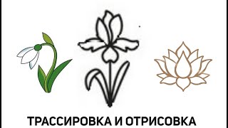 видео: Стрим: Трассировка цветных и картинок с плохим качеством Corel Draw от Деревяшкина картинка: Стрим: Трассировка цветных и картинок с плохим качеством Corel Draw от Деревяшкина