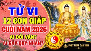 Tử Vi 12 Con Giáp Cuối Năm 2026: Ai Đổi Vận, Ai Gặp Quý Nhân News
