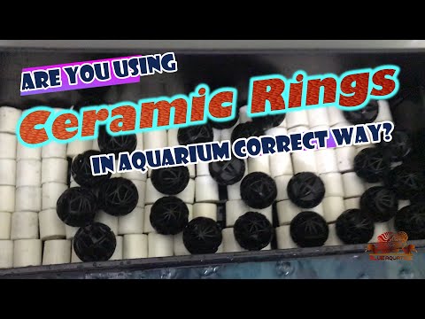 Are you using Ceramic Rings in Aquarium Correctly??? - Must Watch