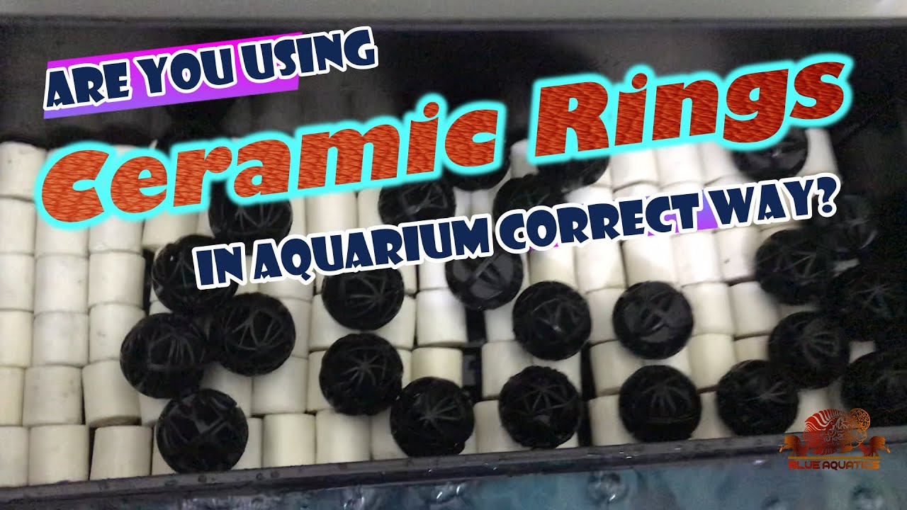 Are you using Ceramic Rings in Aquarium Correctly??? - Must Watch - YouTube