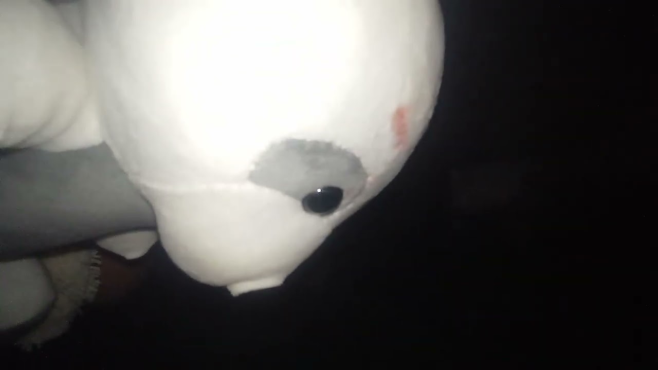 6 de janeiro de 2026