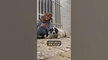 واسه سگش آهنگ میخونه سگش میخنده تا آخر ببینید 