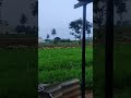 High quality Carrot Crop #shorts #short #nature #satisfying #freefire #viral #trending
