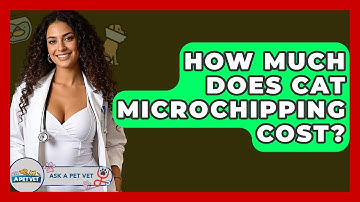 How Much Does Cat Microchipping Cost? - Ask A Pet Vet