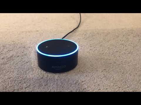 “Alexa, what’s 10 to the power of 308?”