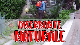 Come creare un Diserbante naturale ed eliminare le erbacce nel giardino, la  soluzione furba e facilissima