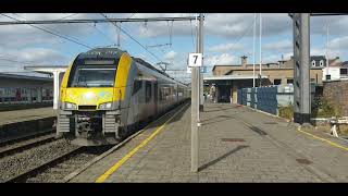 AM 08152 Towards Brussels north Departing AR 4150 Arriving at Geraardsbergen (20/09/2026)